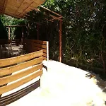 Ligustro *