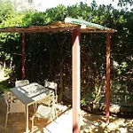 Ligustro *