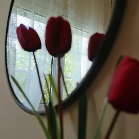 Ligustro Apartamento *